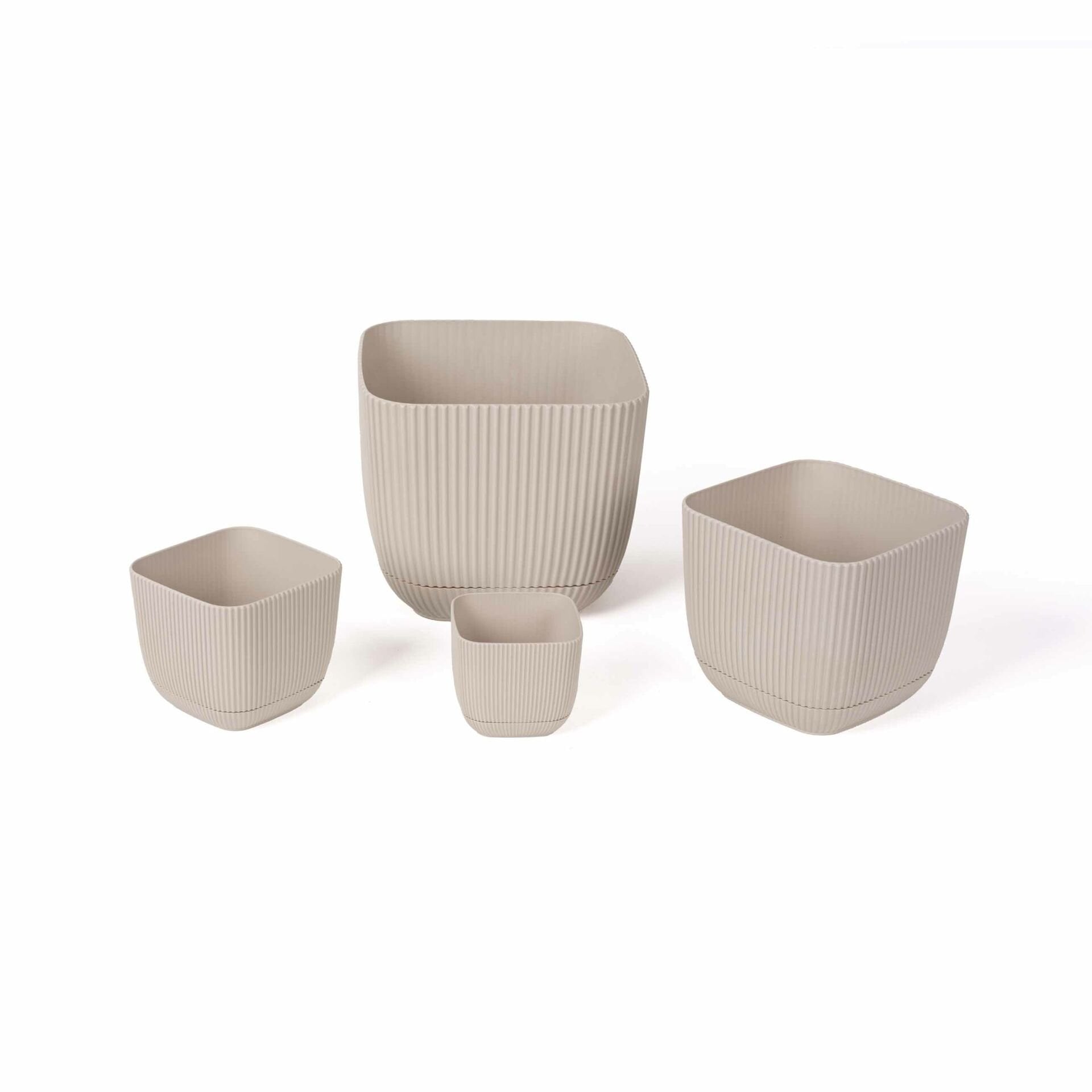 4'lü Mercan Saksı Seti Krem